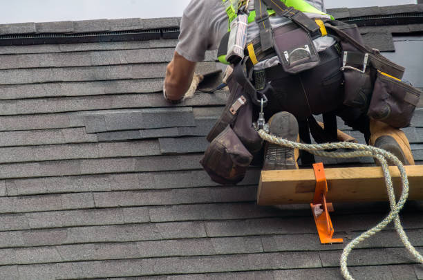 Roof Gutter Cleaning in Sterling, AK