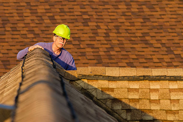 Best Emergency Roof Repair  in Sterling, AK