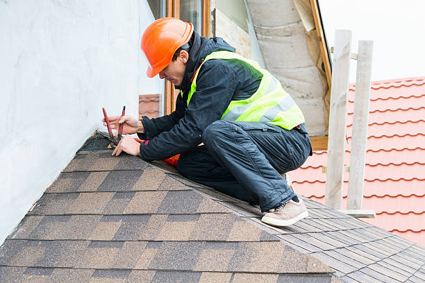 Best Roof Gutter Cleaning  in Sterling, AK