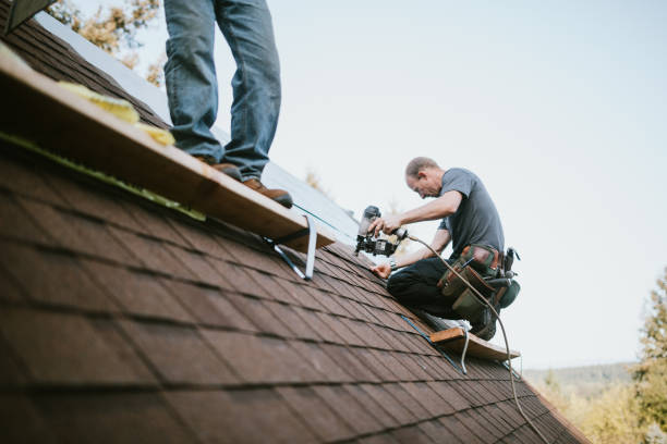 Best Storm Damage Roof Repair  in Sterling, AK